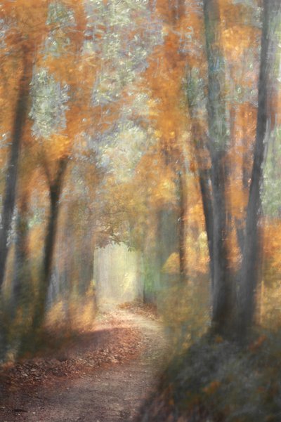  de Christina Sillen