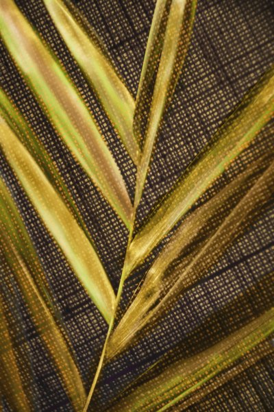 Folhas verdes douradas de Christina Sillen