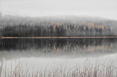 Lago enevoado de outono de Christina Sillen