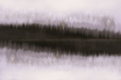 Reflexão sobre o Bétula Envolto em Nevoeiro de Christina Sillen