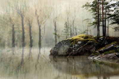 Lago da Floresta Enevoada de Christina Sillen