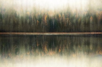 Reflexo na Floresta Envolvida em Nevoeiro de Christina Sillen