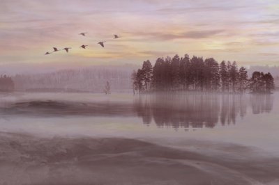 O Voo das Aves do Lago Misty de Christina Sillen