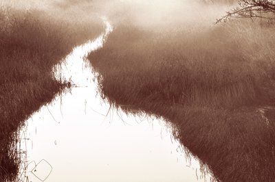 Trilha do Rio Misty de Christina Sillen