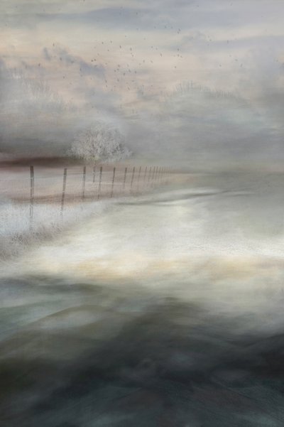 Paisagem de Inverno Envolvida em Nevoeiro de Christina Sillen