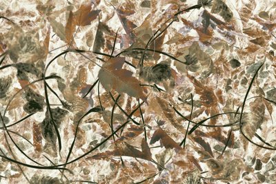Folhagem silvestre em tons suaves de Christina Sillen