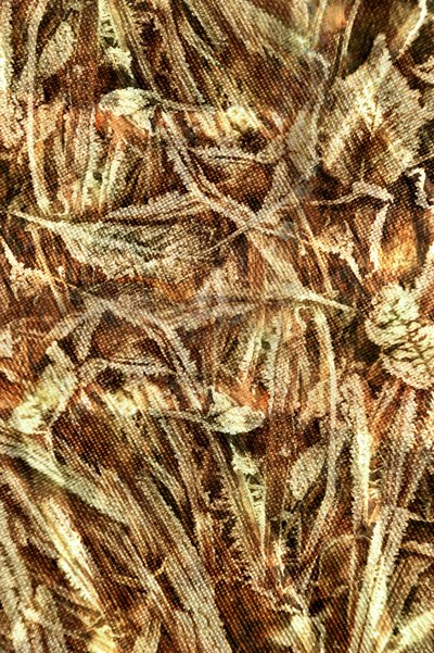 Padrão de camuflagem natural de Christina Sillen