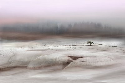  de Christina Sillen
