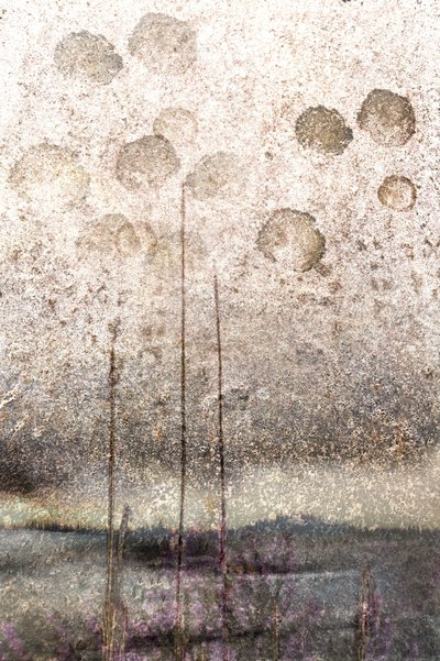 Juncos do Lago com Textura de Christina Sillen