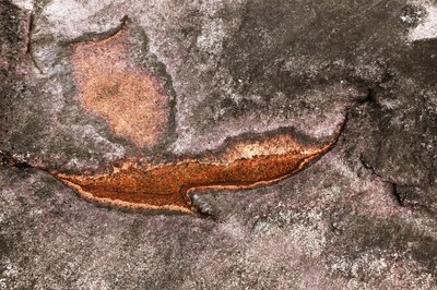 Superfície mineral erodida de Christina Sillen