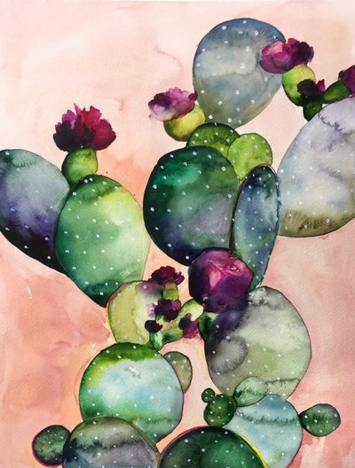 Flores coloridas de cacto de Christine Lindstrom