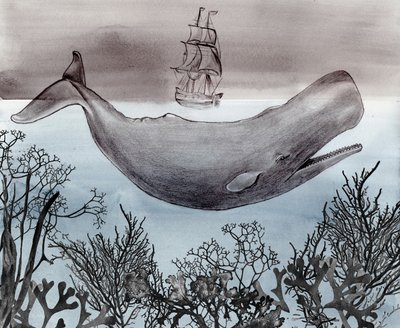 Navio de observação de baleias nas profundezas do oceano de Christine Lindstrom