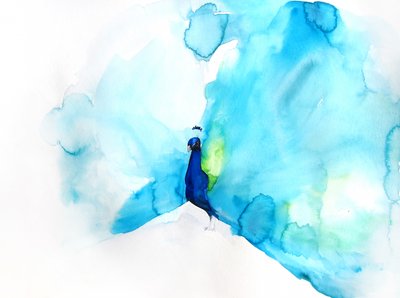 Elegante Pavão Azul de Christine Lindstrom