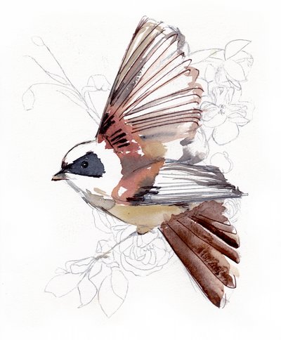 Pássaro em aquarela a voar de Christine Lindstrom