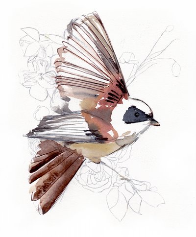 Pássaro em aquarela a voar de Christine Lindstrom