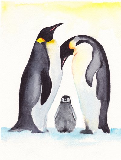 A Simpática Família dos Pinguins de Christine Lindstrom