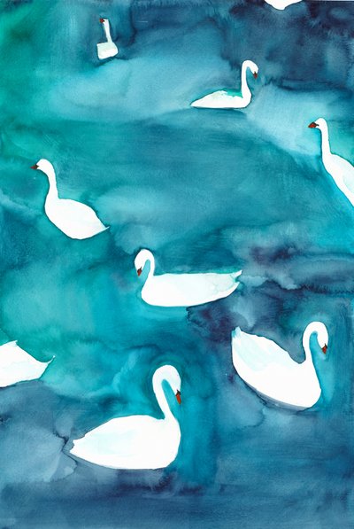 Cisnes graciosos na água de Christine Lindstrom