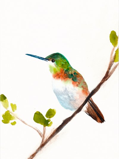 Beija-flor verde pousado de Christine Lindstrom