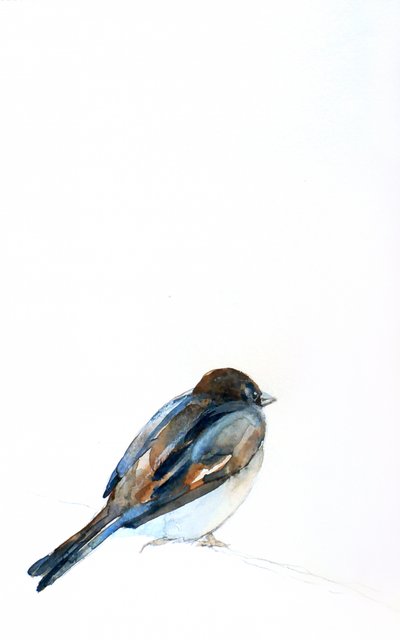 Aquarela de um pardal pousado de Christine Lindstrom