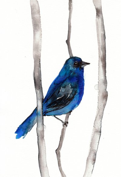 Pássaro canoro azul vibrante de Christine Lindstrom