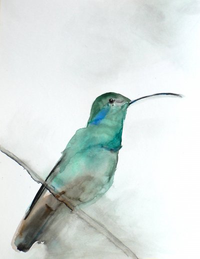 Beija-flor azul-petróleo em aguarela de Christine Lindstrom