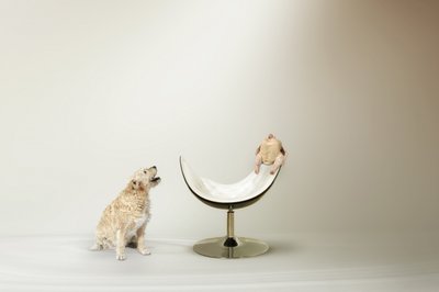 O dilema do cão com o frango de Christine von Diepenbroek