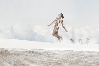 Pinguins-mulher voadores de Christine von Diepenbroek