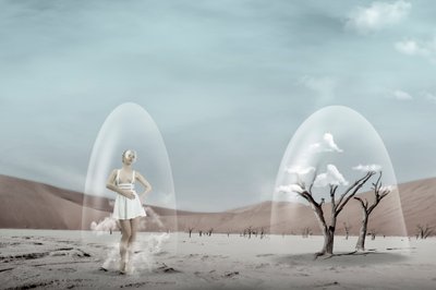 Sonho Frágil do Deserto de Christine von Diepenbroek