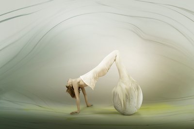 Forma Orgânica Graciosa de Christine von Diepenbroek