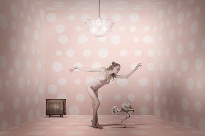 Bailarina Flamingo com Bolinhas Cor-de-rosa de Christine von Diepenbroek
