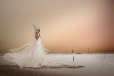 Mulher grávida do deserto de Christine von Diepenbroek
