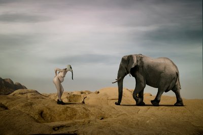 Um encontro surreal no deserto de Christine von Diepenbroek