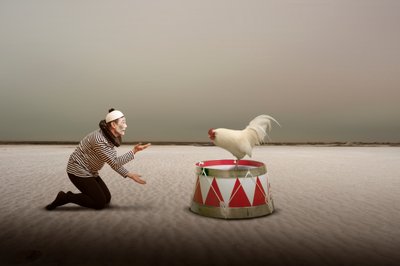Mimo surreal e galo de Christine von Diepenbroek