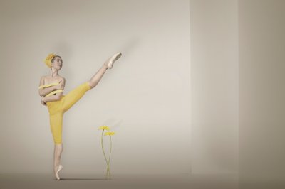 Grace, a Bailarina Amarela de Christine von Diepenbroek