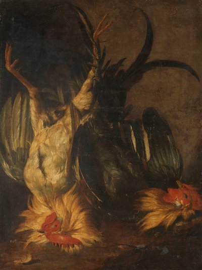 Galos mortos de Christoffel Puytlinck