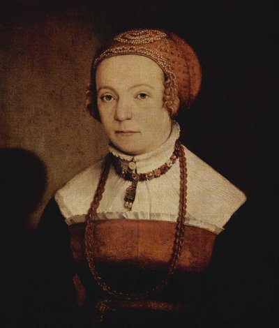 Retrato de uma mulher de Christoph Amberger