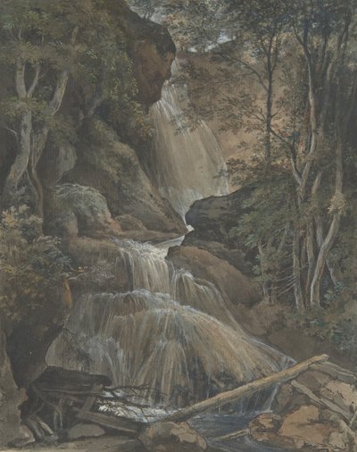 Floresta. de Christoph Nathe