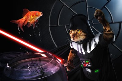 A Batalha Galáctica dos Peixes do Gato de Christophe Kiciak