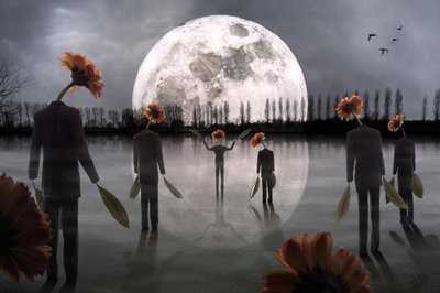 Figuras de cabeças de flores ao luar de Christophe Kiciak