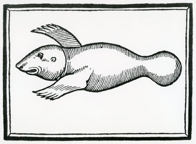 Um peixe chamado &39;Manati&39; da &39;História Geral das Índias&39; 1547 de Christopher Columbus