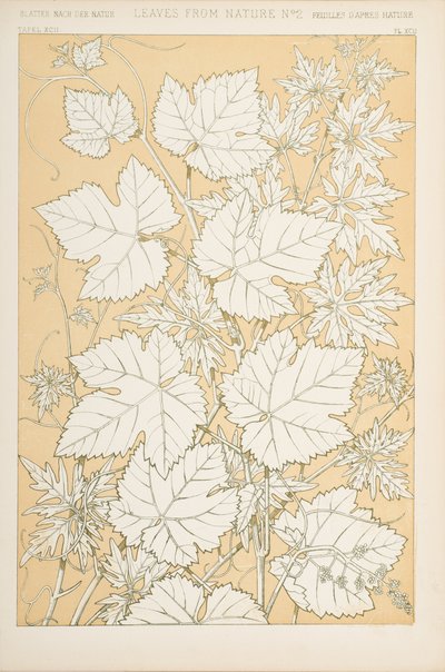 Folhas da natureza, 1868 (cromolitho) de Christopher Dresser