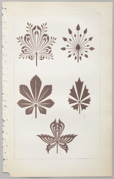 A arte do design decorativo: com um apêndice, dando as horas do dia em que as flores abrem, publicado pela Day & Son, Londres, 1862 de Christopher Dresser