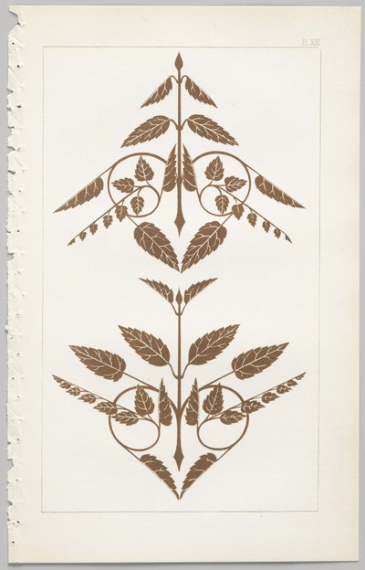 A arte do design decorativo: com um apêndice, dando as horas do dia em que as flores abrem, publicado pela Day & Son, Londres, 1862 de Christopher Dresser