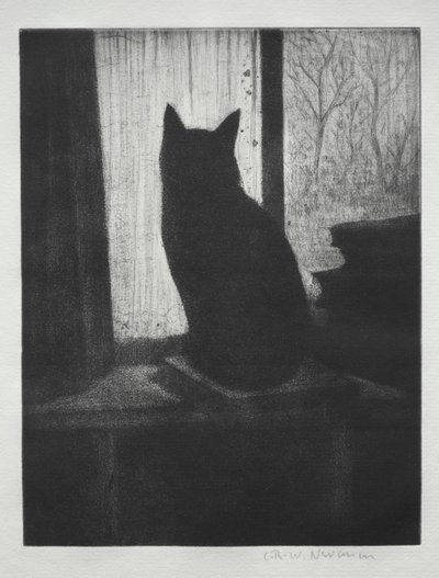O gato de Christopher Richard Wynne Nevinson