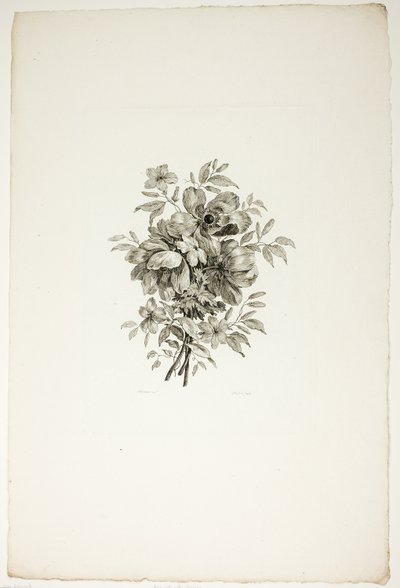 Bouquet com papoilas, da coleção de diferentes bouquets de flores, inventado e desenhado por Jean Pillement e gravado por P. C. Canot de Christopher Norton