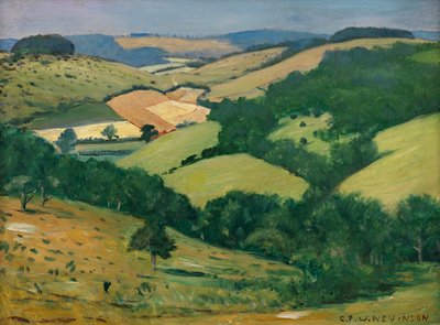 Rolling Country (os Downs abaixo de Goodwood) (Óleo a bordo) de Christopher Richard Wynne Nevinson