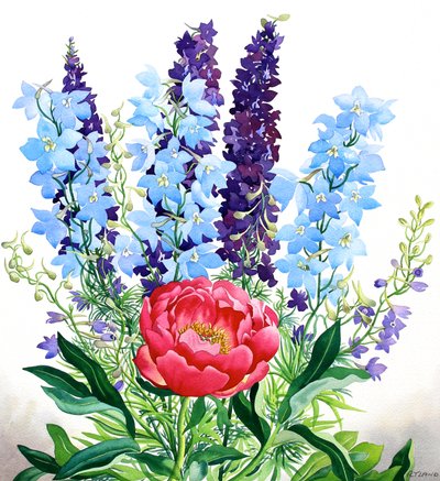 Delphiniums Azuis de Christopher Ryland