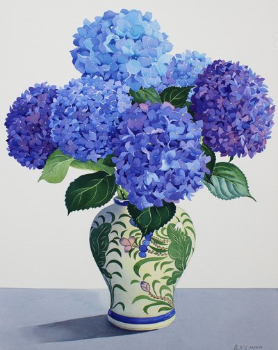 Hortênsias azuis (aguarela sobre papel) de Christopher Ryland