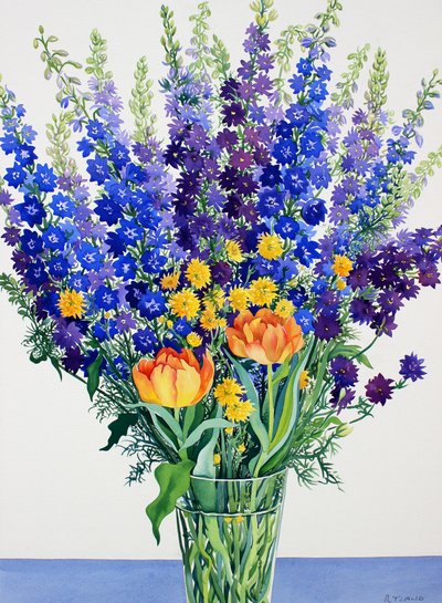 Esporão e Delphiniums (aguarela sobre papel) de Christopher Ryland