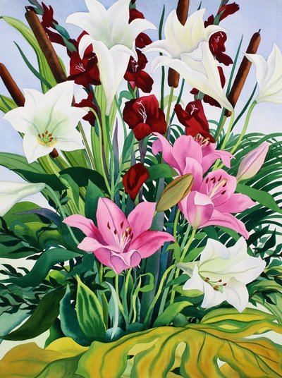 Lírios e Bullrushes (aquarela sobre papel) de Christopher Ryland